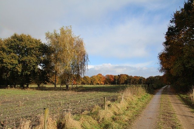 Free download Netherlands Landscape Veluwe -  free photo or picture to be edited with GIMP online image editor