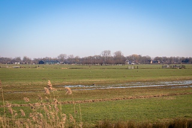 Free download Netherlands Polder Pasture -  free photo or picture to be edited with GIMP online image editor