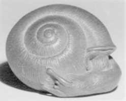 Free download Netsuke of a Snail Emerging from its Shell free photo or picture to be edited with GIMP online image editor