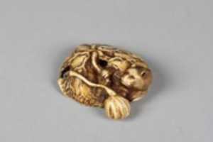 Free download Netsuke of Beaver in Lotus Pond free photo or picture to be edited with GIMP online image editor