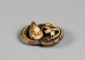 Free download Netsuke of Bird on her Nest free photo or picture to be edited with GIMP online image editor