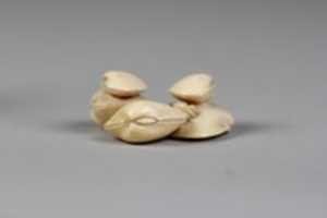 Free download Netsuke of Clam Shells free photo or picture to be edited with GIMP online image editor