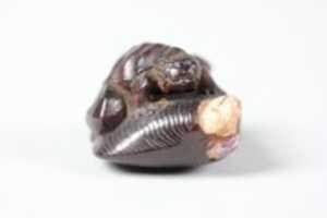 Free download Netsuke of Frog-like Tortoise on a Shell free photo or picture to be edited with GIMP online image editor