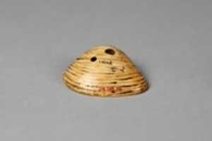 Free download Netsuke of Shell free photo or picture to be edited with GIMP online image editor