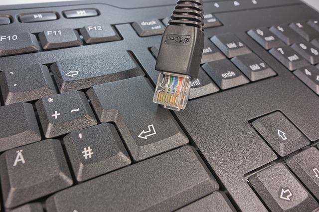 Free download network network cable keyboard free picture to be edited with GIMP free online image editor