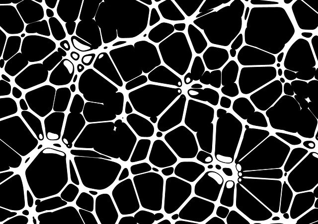 Free download Neurons Braid Network -  free illustration to be edited with GIMP free online image editor