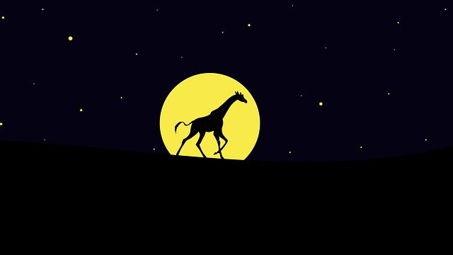 Free download Night Giraffe Wilderness -  free illustration to be edited with GIMP free online image editor