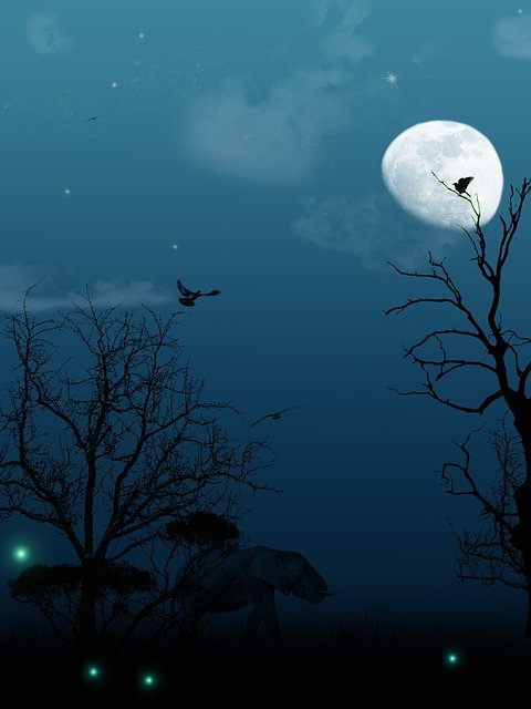 Free download Night Moon -  free illustration to be edited with GIMP free online image editor