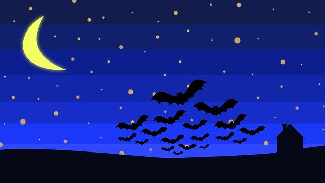 Free download Night Sky Dark -  free illustration to be edited with GIMP free online image editor