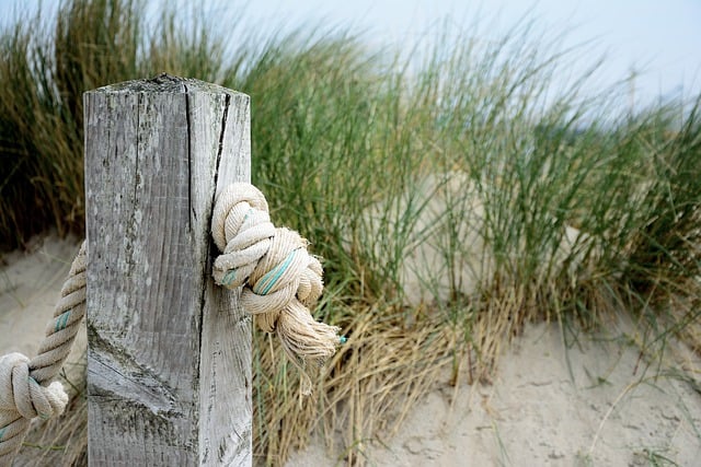 Free download node rope beach wood knitting free picture to be edited with GIMP free online image editor