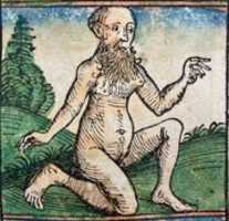 Free download Nuremberg Chronicle Peoples of the World Androgny 2 free photo or picture to be edited with GIMP online image editor