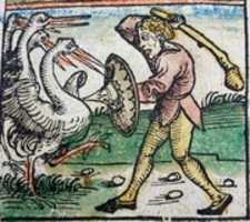 Free download Nuremberg Chronicle Peoples of the World Birds free photo or picture to be edited with GIMP online image editor