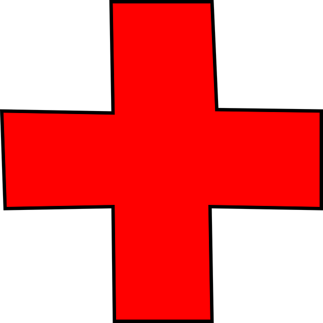 Free download Nursing Cross Nurse - Free vector graphic on Pixabay free illustration to be edited with GIMP free online image editor