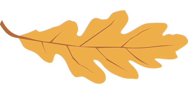 Free download Oak Leaf Falling - Free vector graphic on Pixabay free illustration to be edited with GIMP free online image editor