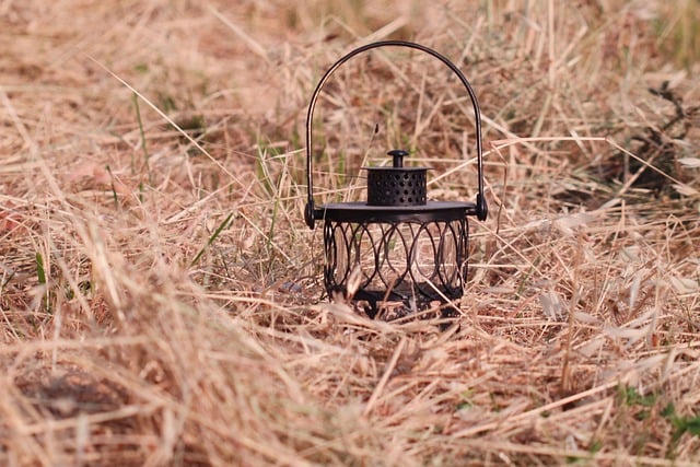 Free download oat field lamp lantern field free picture to be edited with GIMP free online image editor