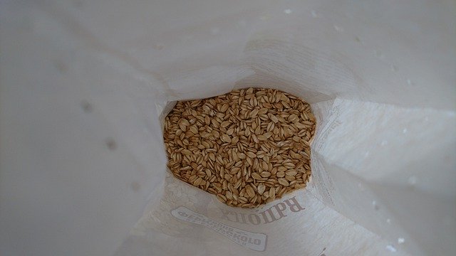 Free download Oat Grain Oats -  free photo or picture to be edited with GIMP online image editor