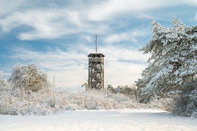 Free download observation tower snow trees frost free picture to be edited with GIMP free online image editor