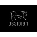 Obsidian Developer Tool  screen for extension Chrome web store in OffiDocs Chromium