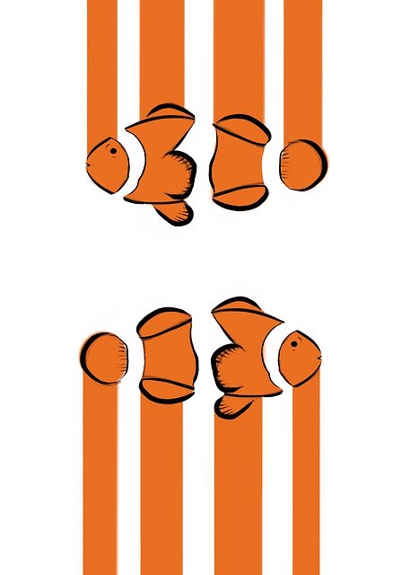 Free download Ocellaris Clownfish Nemo Cartoon -  free illustration to be edited with GIMP free online image editor