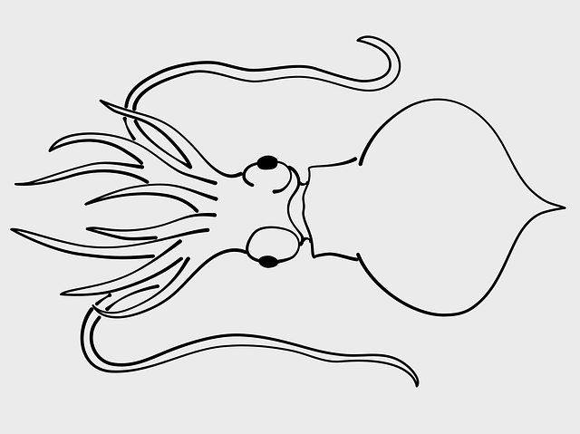 Free download Octopus Lineart Blekksprutte - Free vector graphic on Pixabay free illustration to be edited with GIMP free online image editor