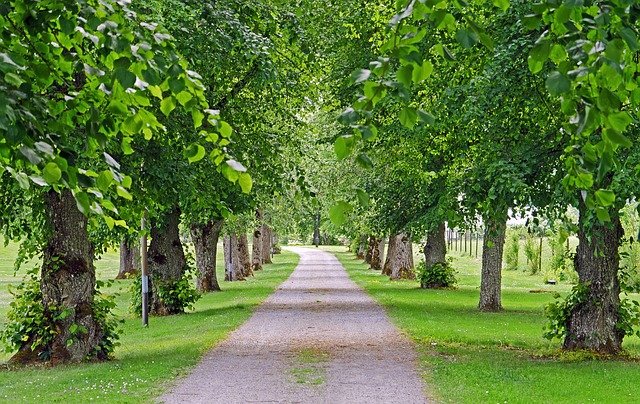 Free download old linden alley access road free picture to be edited with GIMP free online image editor