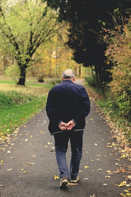 Free download old man path walking stroll autumn free picture to be edited with GIMP free online image editor