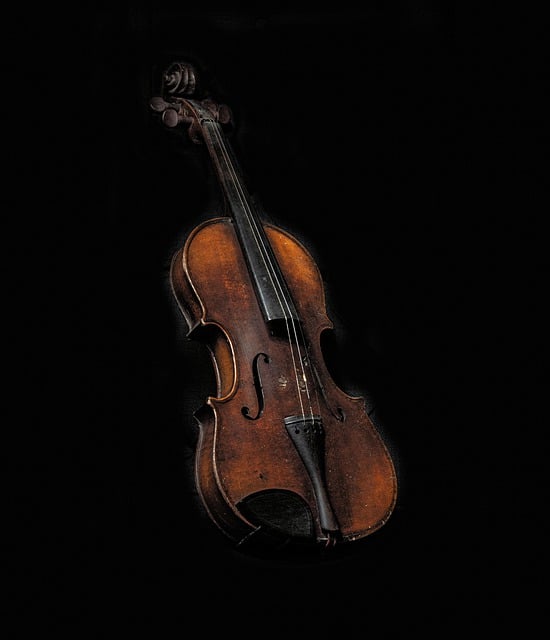 Free download old violin fiddle music old strings free picture to be edited with GIMP free online image editor