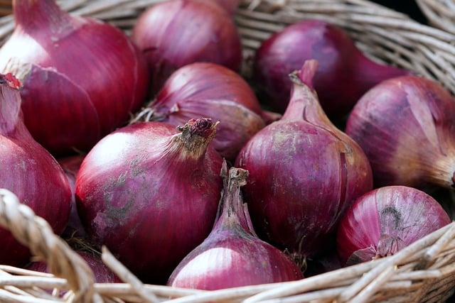 Free download onions vegetables harvest fresh free picture to be edited with GIMP free online image editor