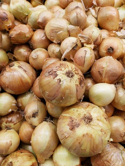 Free download Onion Vegetable Sunday -  free photo or picture to be edited with GIMP online image editor