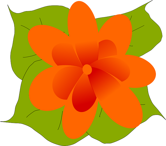 Free download Orange Flower Bloom - Free vector graphic on Pixabay free illustration to be edited with GIMP free online image editor