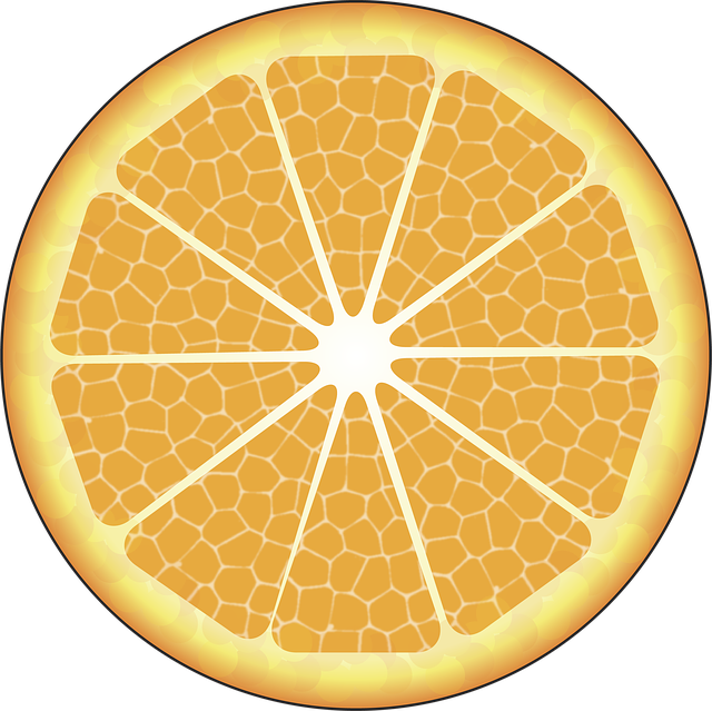 Free download Orange Food Citric -  free illustration to be edited with GIMP free online image editor