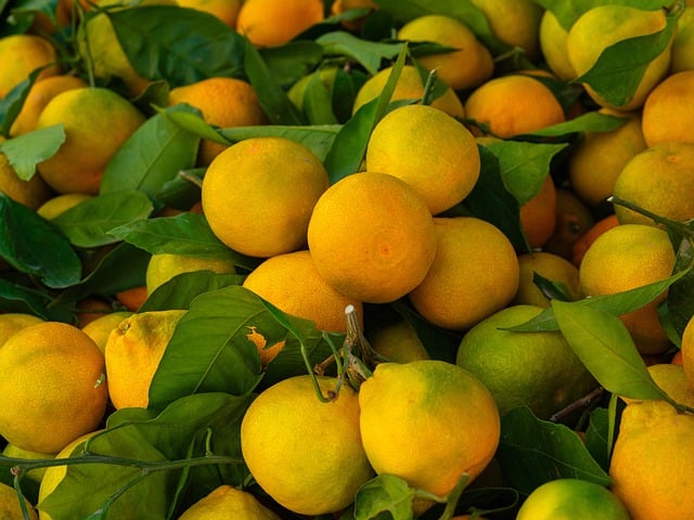 Free download orange fruit agriculture market free picture to be edited with GIMP free online image editor