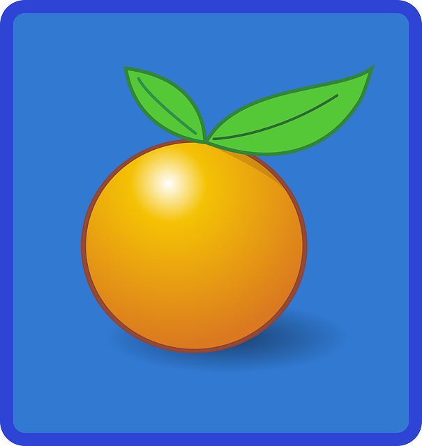 Free download Orange Fruit Food - Free vector graphic on Pixabay free illustration to be edited with GIMP free online image editor