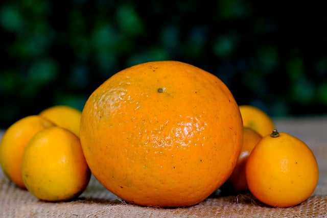 Free download orange fruit fresh edible ripe free picture to be edited with GIMP free online image editor