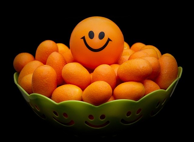 Free download Orange Joy Smiley -  free photo or picture to be edited with GIMP online image editor