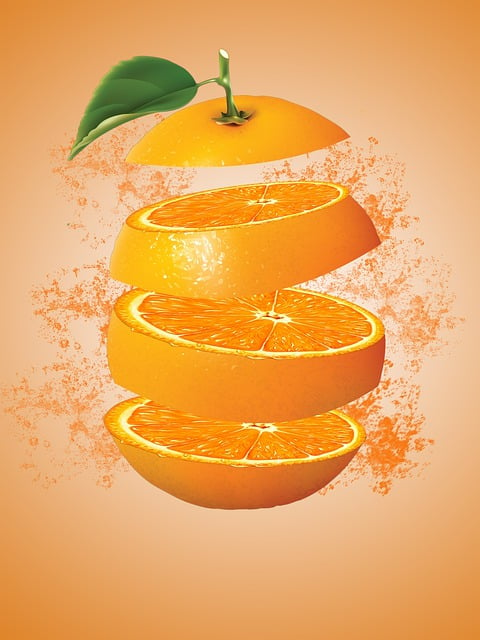 Free download orange slice design fruit citrus free picture to be edited with GIMP free online image editor