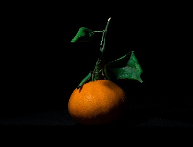 Free download orange tangerine citrus fruit fruit free picture to be edited with GIMP free online image editor