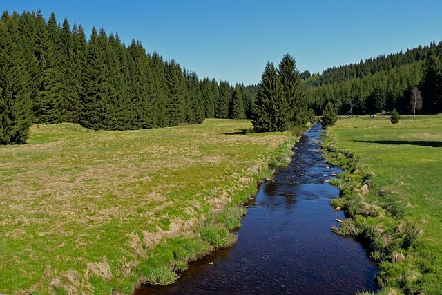 Free download ore mountains forest river spring free picture to be edited with GIMP free online image editor