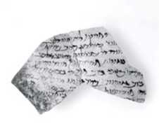 Free download Ostracon inscribed in Aramaic free photo or picture to be edited with GIMP online image editor