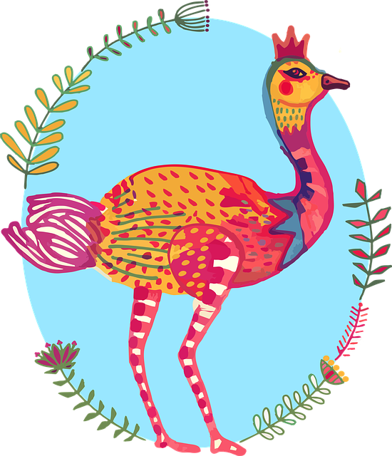 Free download Ostrich Bird Colourful South -  free illustration to be edited with GIMP free online image editor