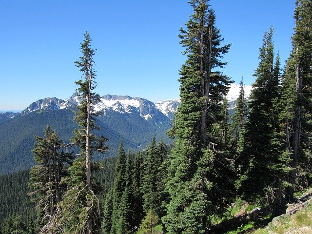 Free download Outlook At Mt Rainier National -  free photo or picture to be edited with GIMP online image editor