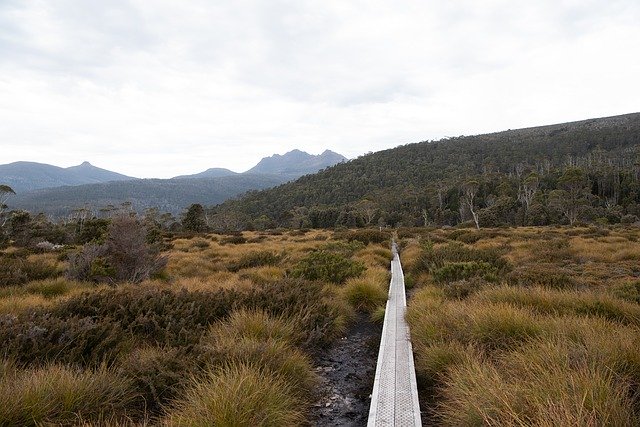 Free download Overland Track Tasmania Hike -  free photo or picture to be edited with GIMP online image editor