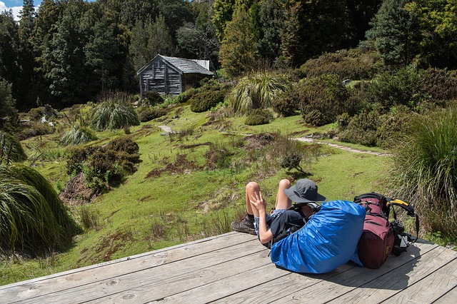 Free download Overland Track Tasmania Nature -  free photo or picture to be edited with GIMP online image editor