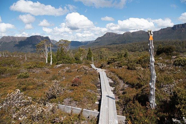 Free download Overland Track Tasmania Wilderness -  free photo or picture to be edited with GIMP online image editor