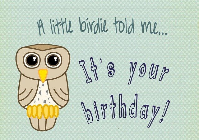 Free download Owl Bird Birthday -  free illustration to be edited with GIMP free online image editor