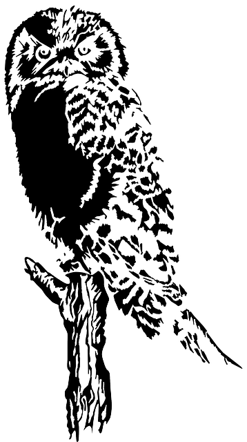 Free download Owl Bird Perching - Free vector graphic on Pixabay free illustration to be edited with GIMP free online image editor