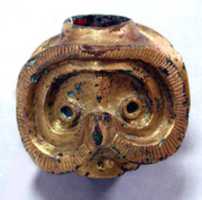 Free download Owl Mace Head free photo or picture to be edited with GIMP online image editor