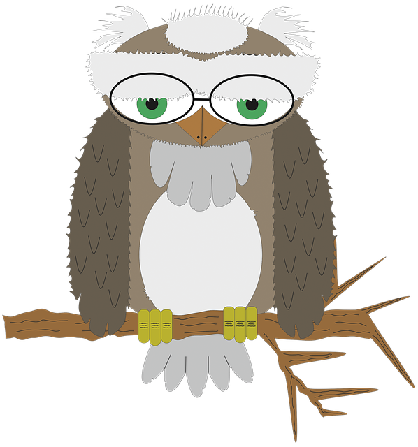 Free download Owl Wisdom Bird Of Prey -  free illustration to be edited with GIMP free online image editor