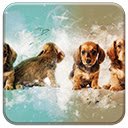 Painted Puppies  screen for extension Chrome web store in OffiDocs Chromium