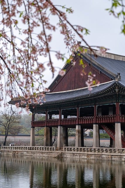 Free download palace traditional gyeongbok palace free picture to be edited with GIMP free online image editor